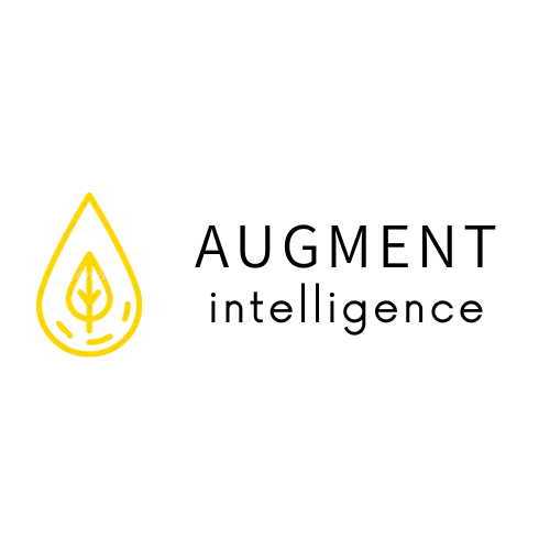 Augment Intelligence